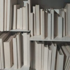 Bibliopinacoteca